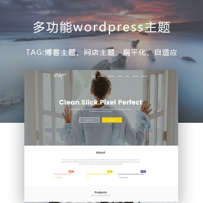 wordpress多功能、自适应主题—Illdy 1.0.35-查尔斯源码