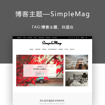 wordpress博客主题—SimpleMag V4.2-查尔斯源码